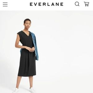 NWOT Everlane Japanese Go Weave Wrap Dress